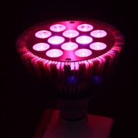 660nm 730nm red led grow light 36 watt , E27 led grow light with timers