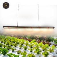 Idea light 2ft 45W/3ft 60W/4ft 80W  cheap led grow light bar for indoor plants and farming