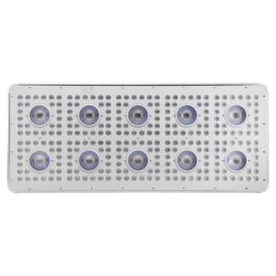 New arrival 100w 400w 600w 800w medical plants full spectrum COB LED grow lights indoor horticulture