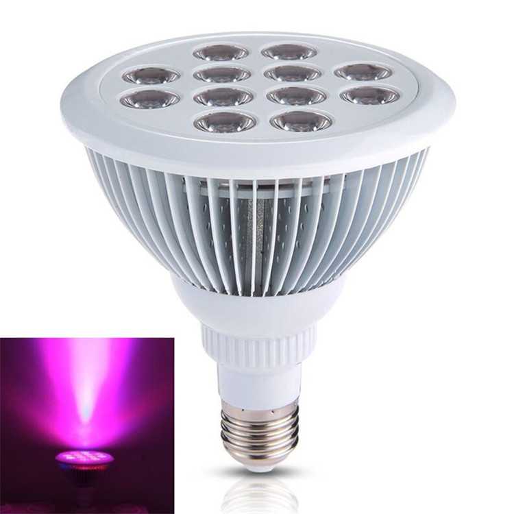 high quality par38 led bulb e27 12w hydroponic epileds led grow light for succulent plants Strawberry fruit vegetable