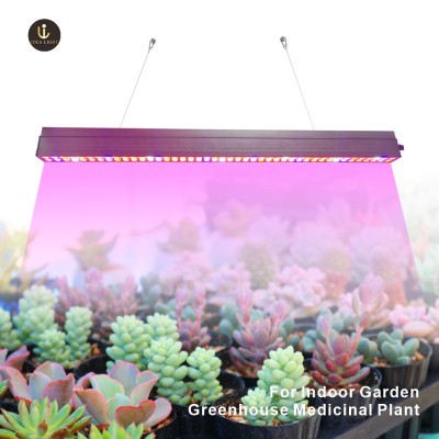 Track Mounting IP66 Waterproof Full Spectrum LED Grow Light for Greenhouse Strawberry Veg Flower